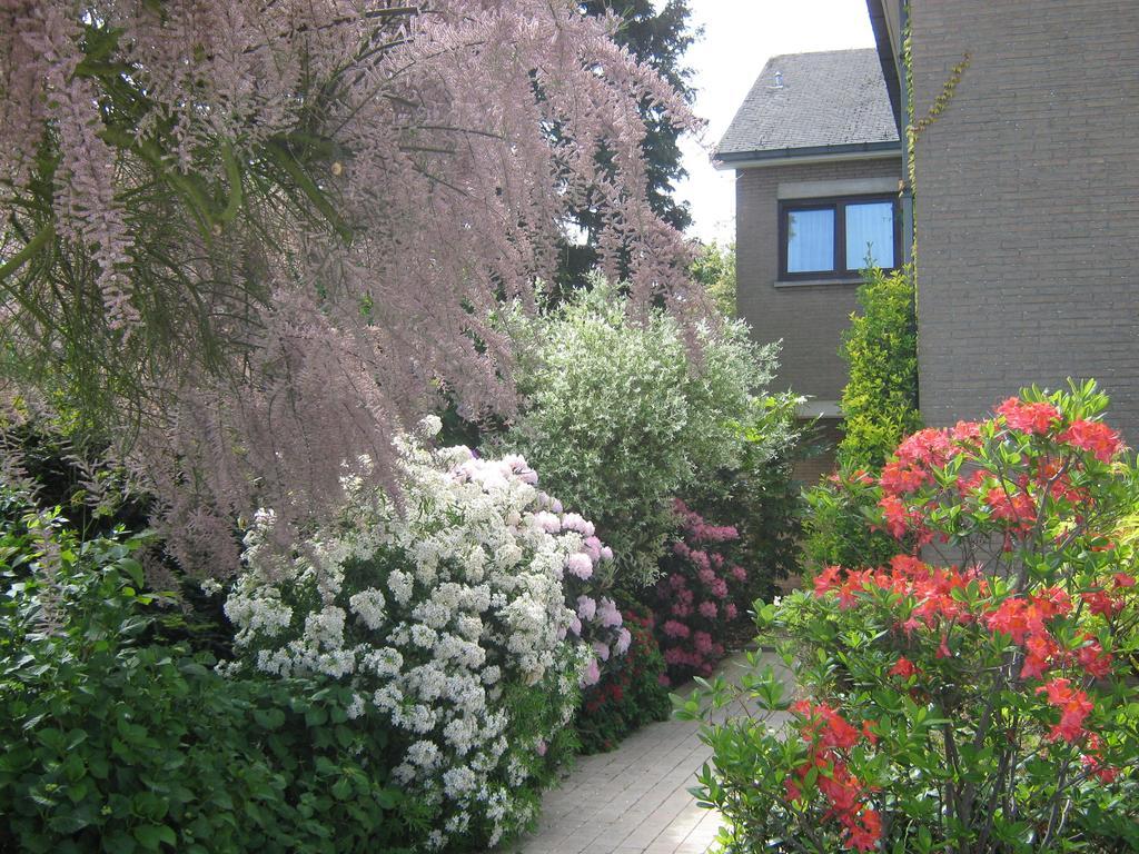 Prince D'Orange Bed & Breakfast Braine-lʼAlleud Eksteriør bilde